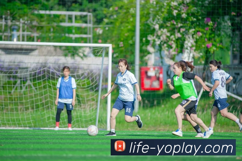 App Interface Preview